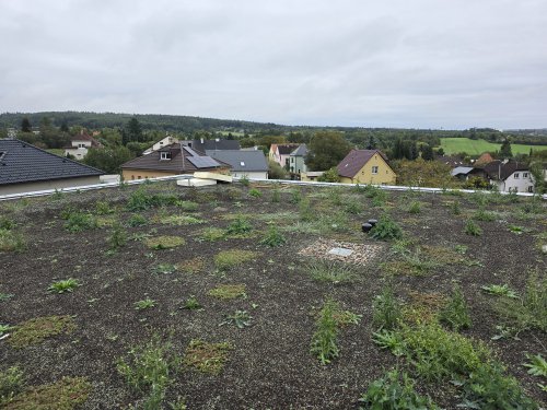 Zelená střecha školy a tělocvičny na Komenského náměstí, Říčany